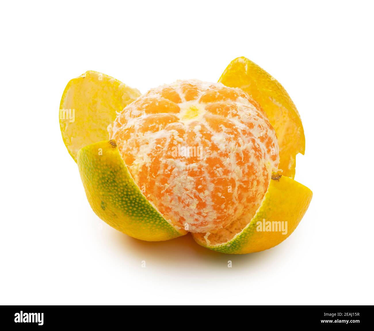 Early Japanese mandarin oranges on a white background Stock Photo Alamy