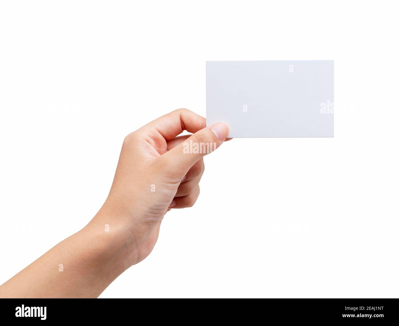 A woman's hand holding a plain business card on a white background Stock Photo