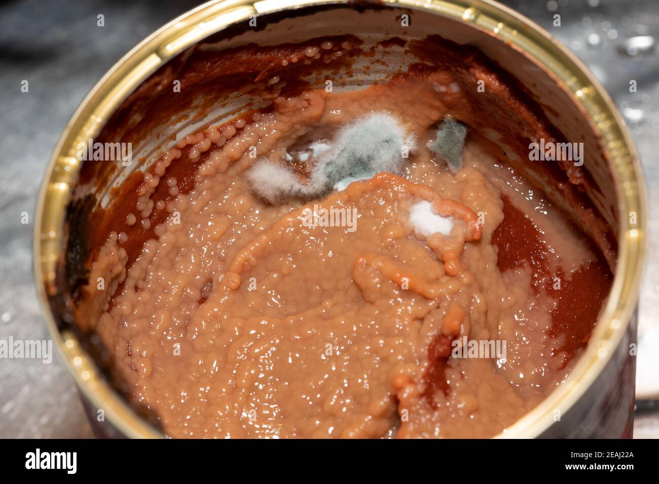 in a jar with spoiled tomato paste fungus. High quality photo Stock Photo