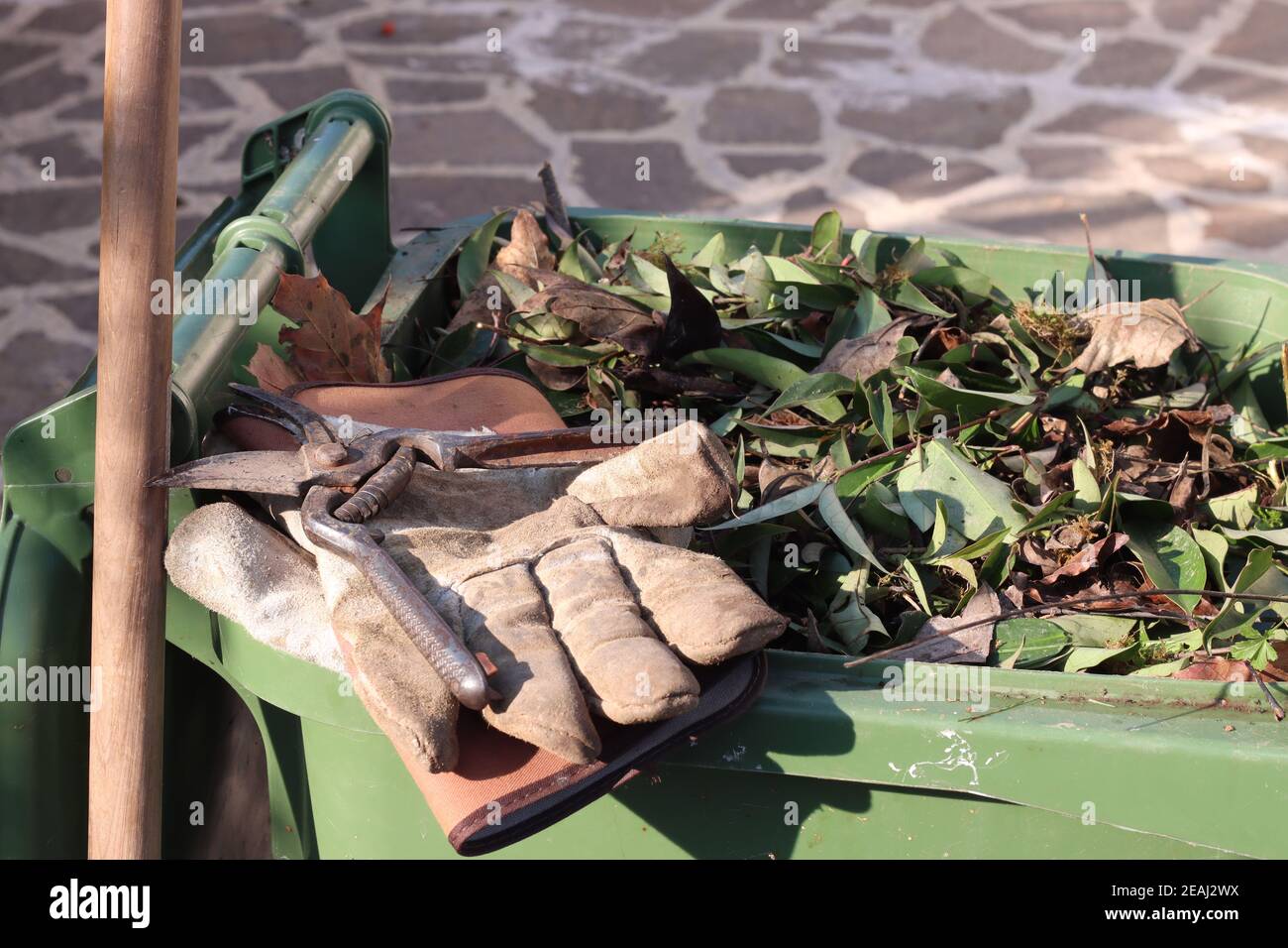picking fallen leaves with rake Stock Photo