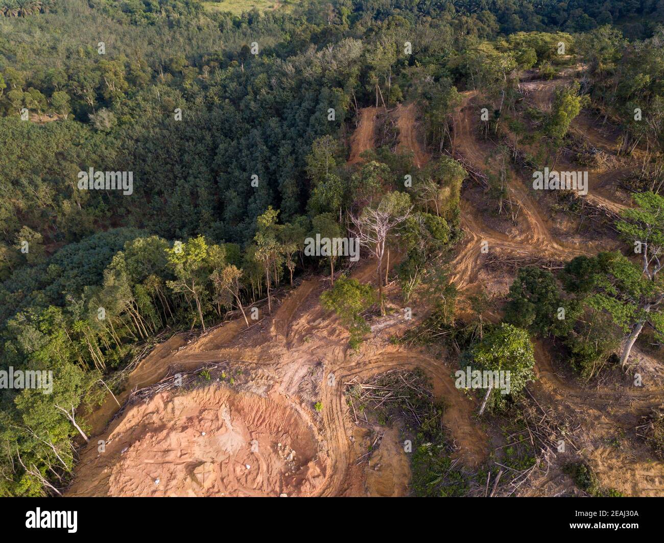 Aerial view deforestation activity Stock Photo