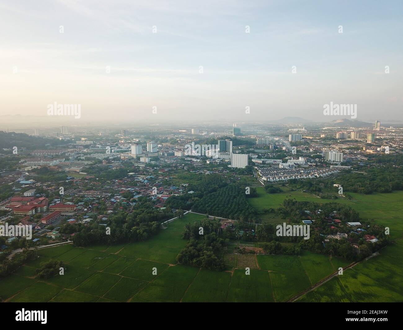 Aerial view paddy field Stock Photo