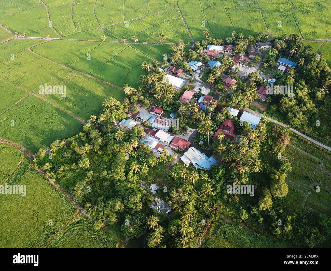 Aerial view green scenery of kampung house in morning sun light Stock Photo