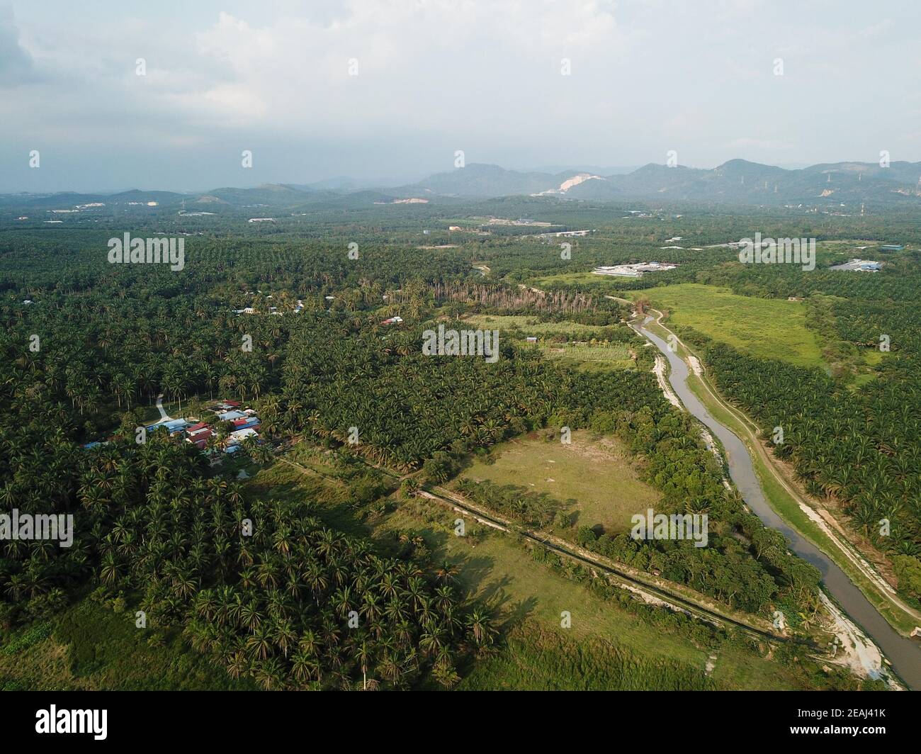 Aerial view the palm hi-res stock photography and images - Alamy