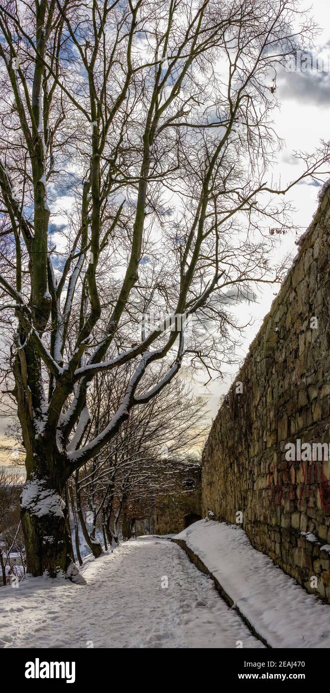 Terebovlia region hires stock photography and images Alamy
