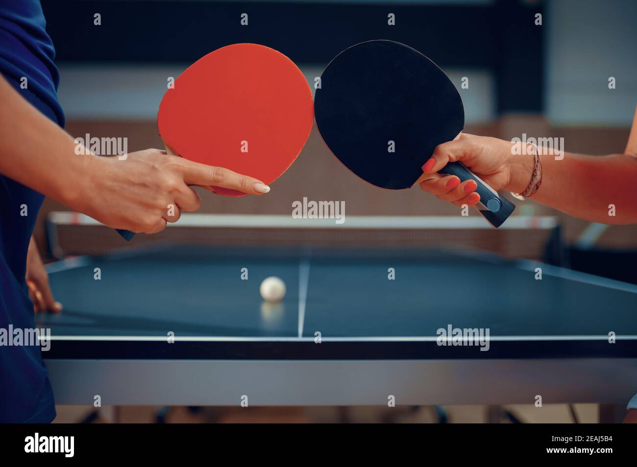 Women holds ping pong rackets, table tennis Stock Photo Alamy