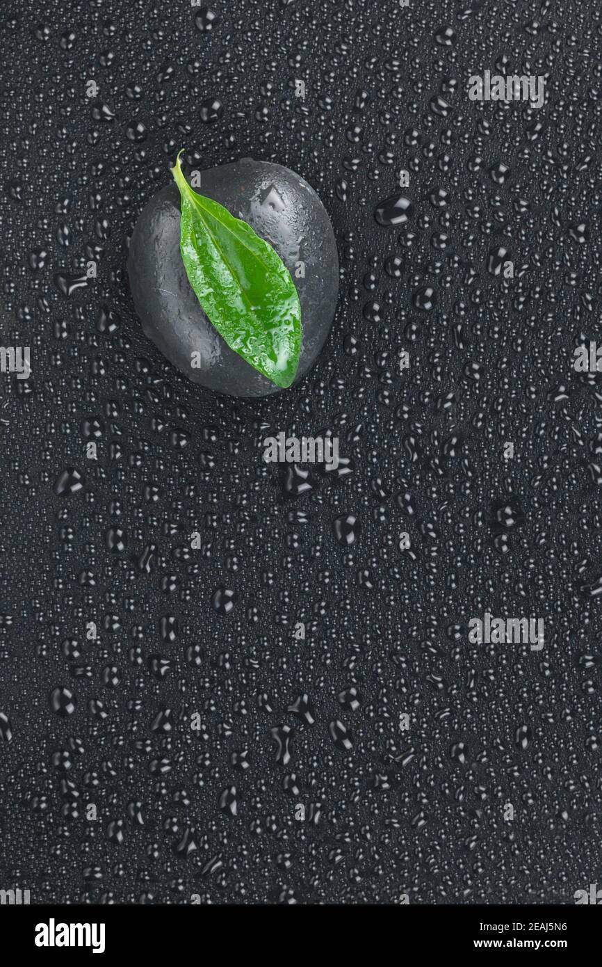 Zen stone and leaves with water drops Stock Photo Alamy
