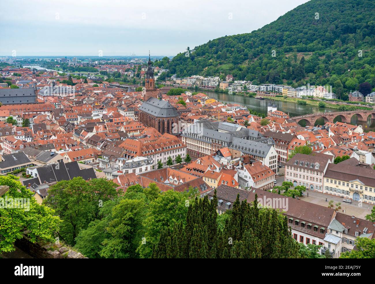 Heidelberg aerial view Stock Photo