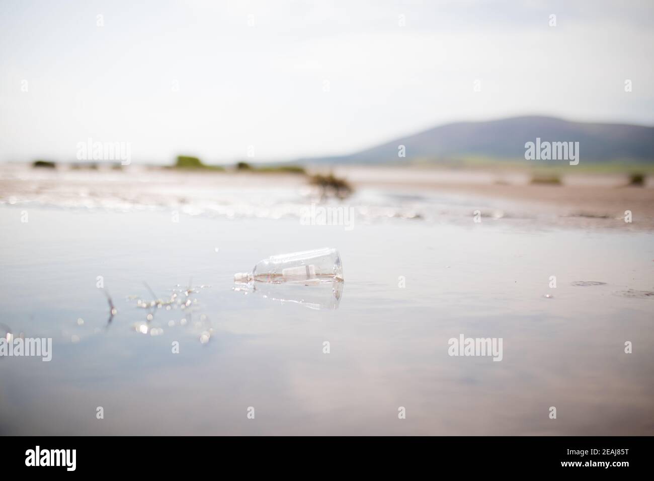 Littered Plastic Bottles Floating in a Puddle in the Middle of the Sand Stock Photo
