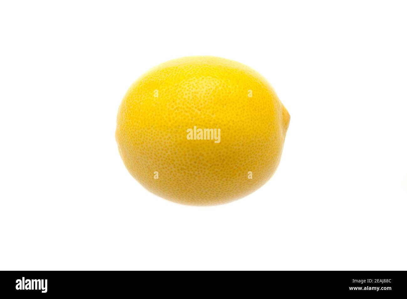 Creative layout of a lemon on a white background. The concept of Stock Photo