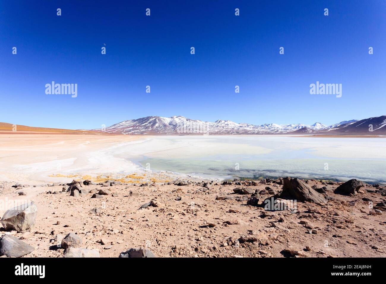 Laguna Blanca landscape,Bolivia Stock Photo