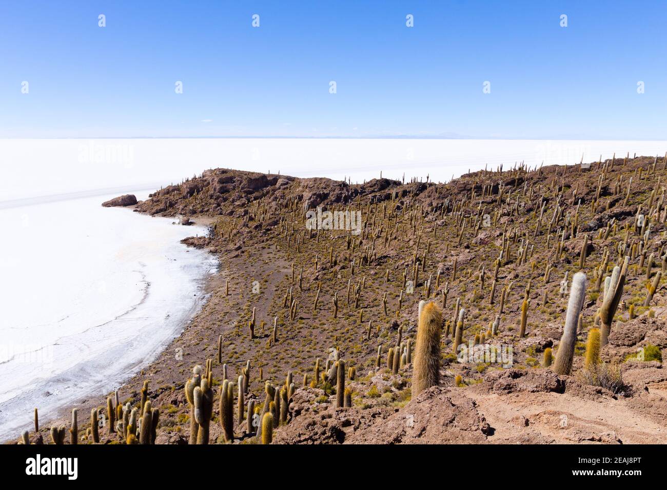 Salar de Uyuni view from Isla Incahuasi Stock Photo