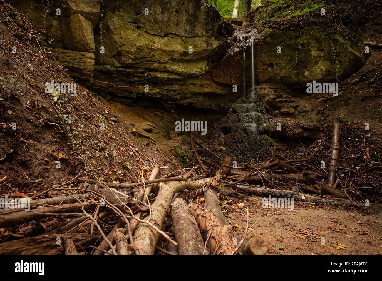 Waterfall is falling over a sandstone rock in a forest Stock Photo