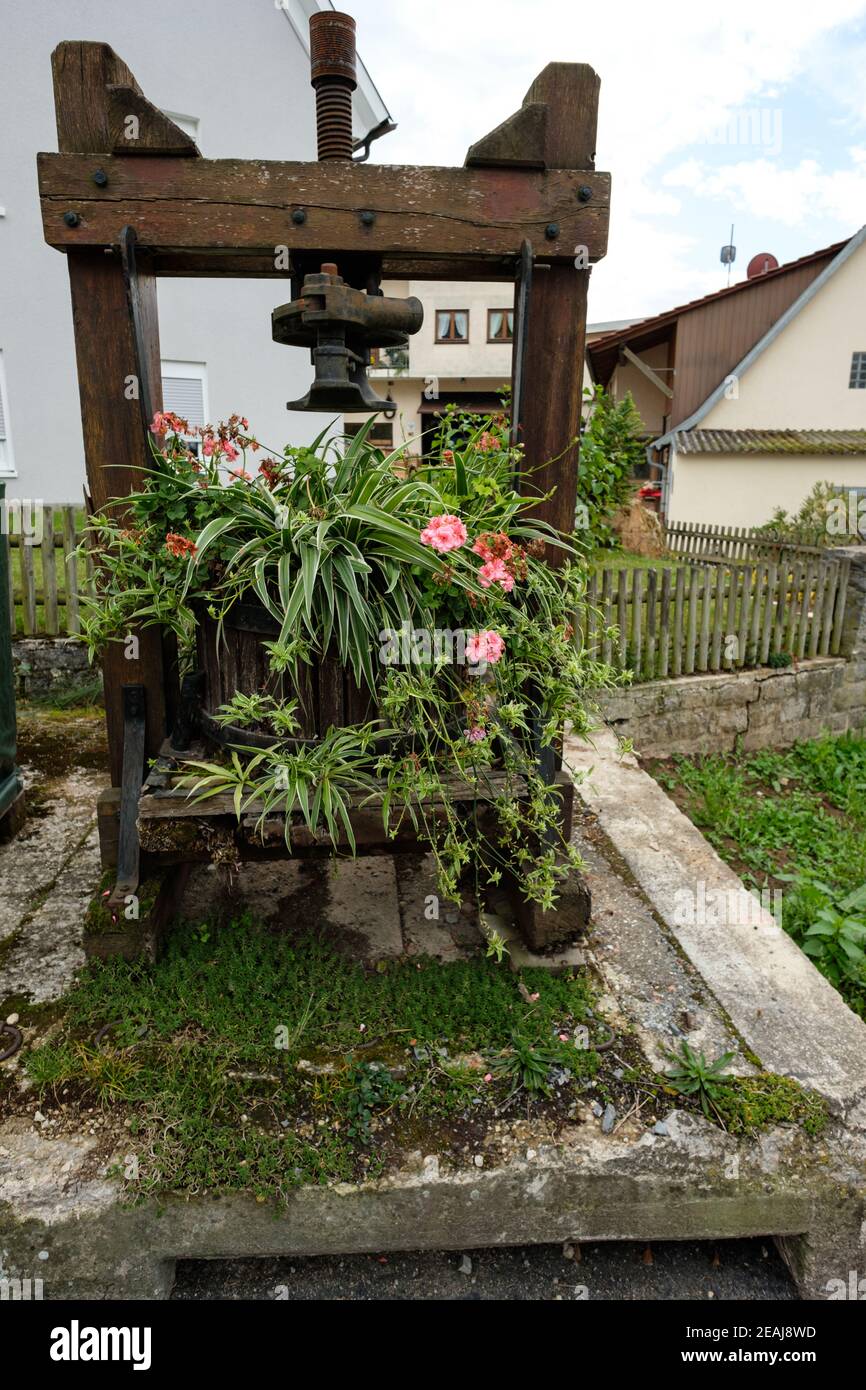 Old wooden grape press as flower pot Stock Photo