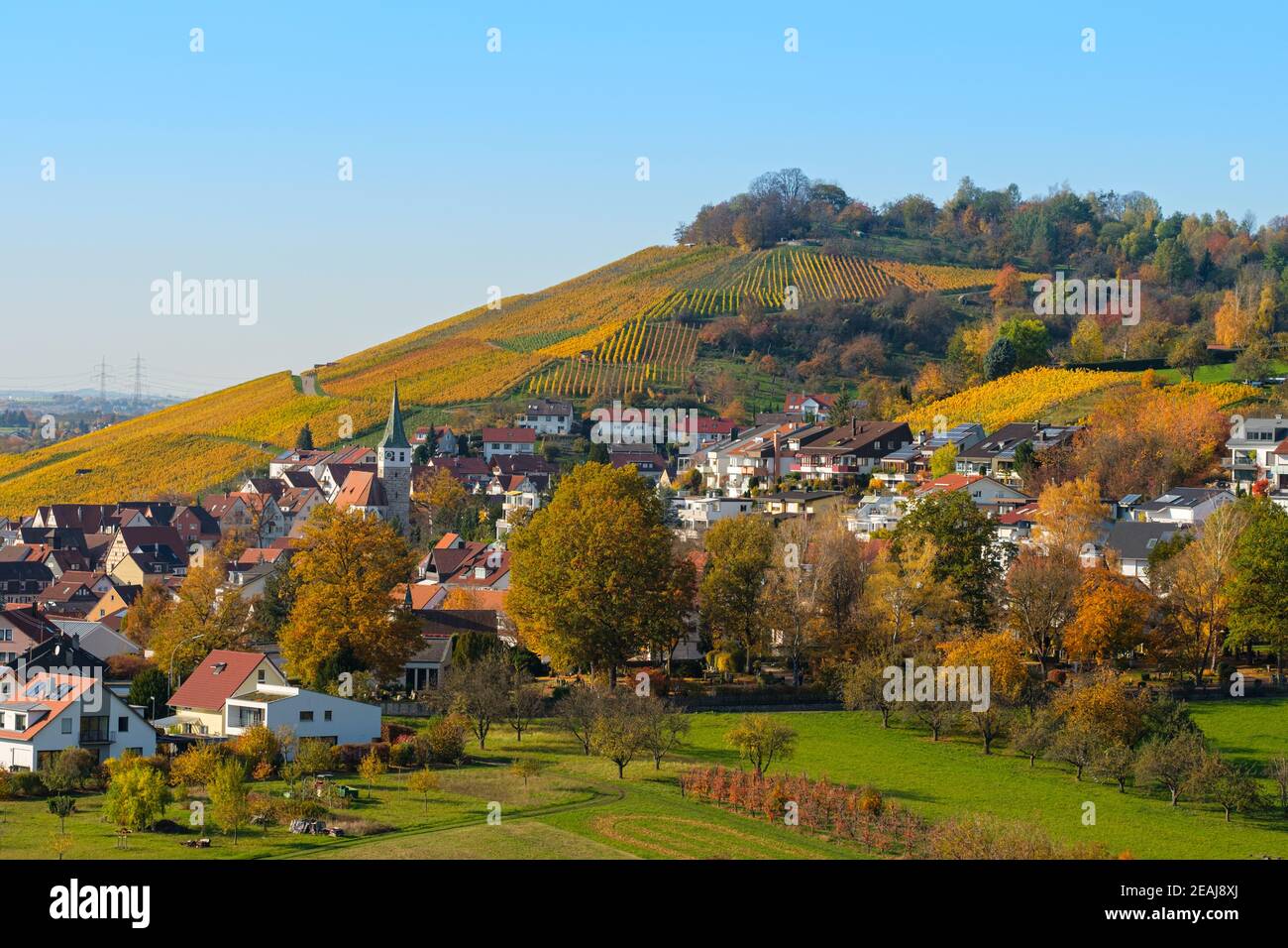 German wine village Grunbach with vineyard in autumn Stock Photo