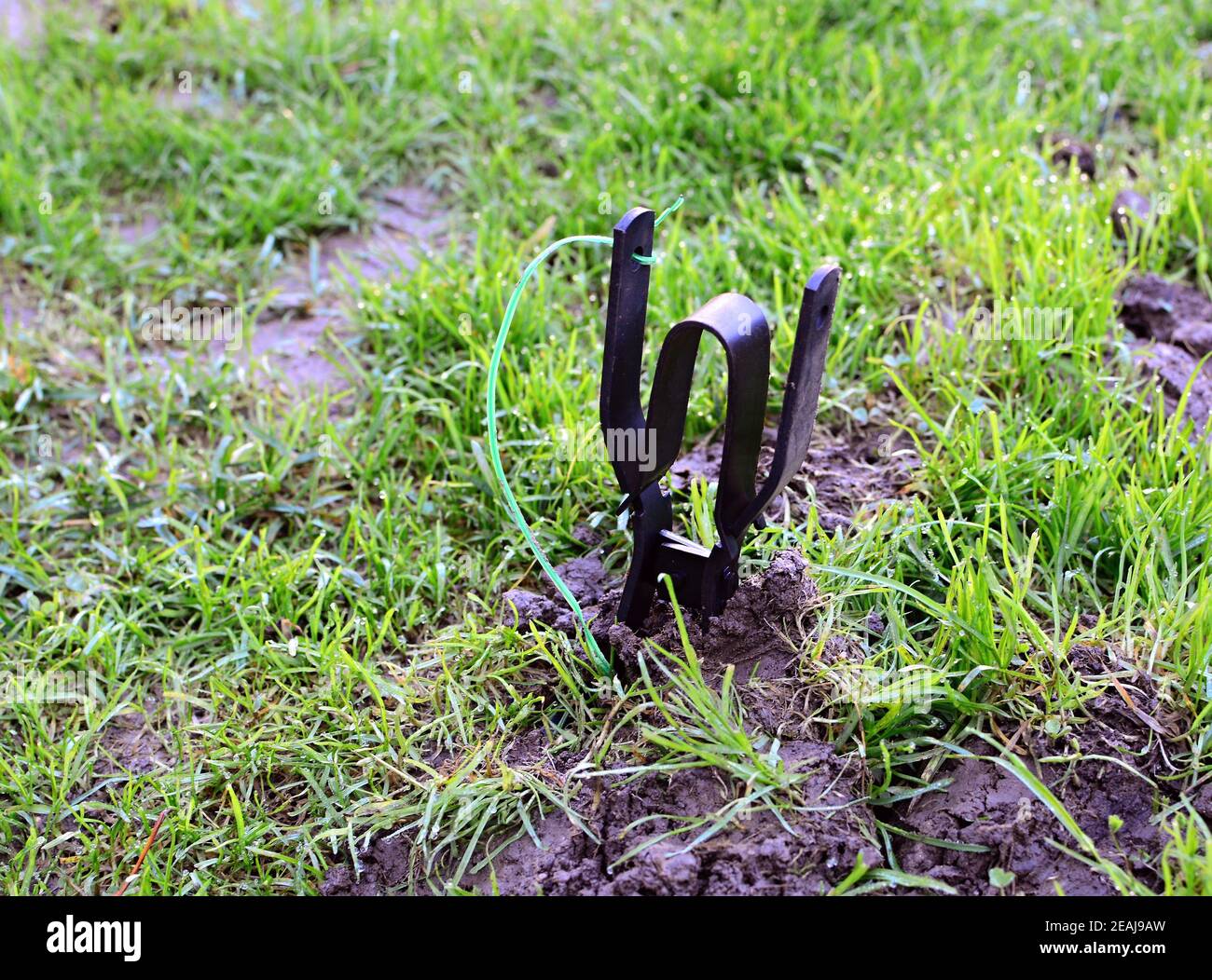 A laid rodent trap in the garden. Stock Photo
