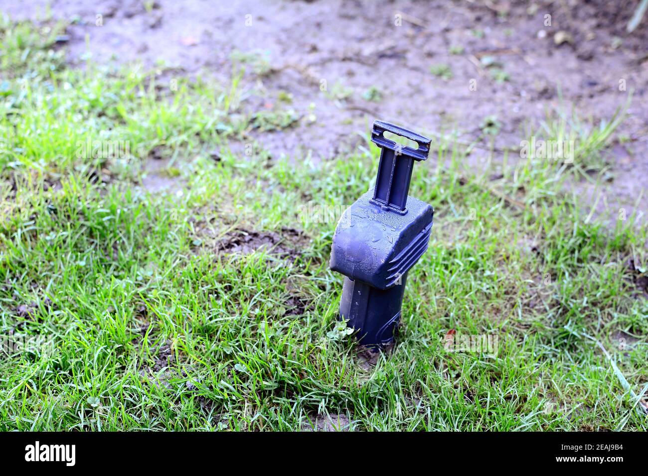A laid rodent trap in the garden. Stock Photo