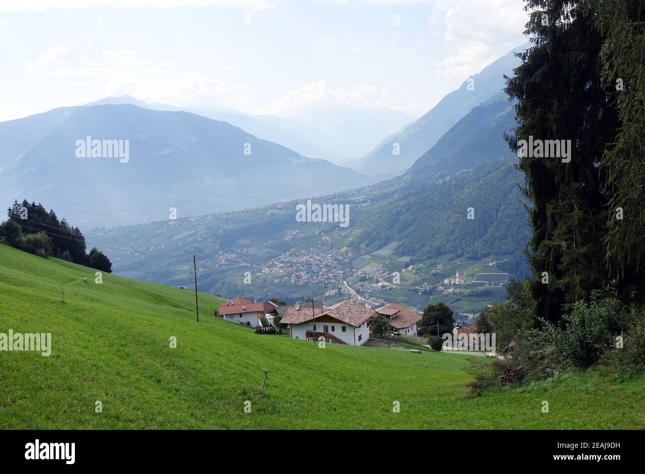 Hike above Verdins with views over the Passeier Valley to Vinschgau Stock Photo