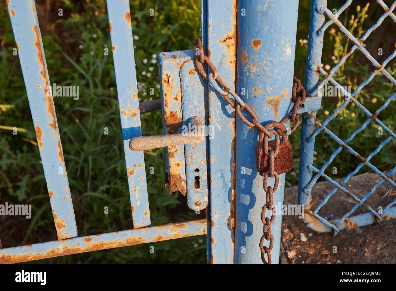 Old gate with padlock and chain Stock Photo Alamy