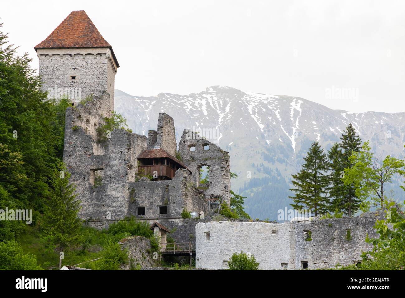 Castle ruins Kamen, Radovljica, Slovenia Stock Photo
