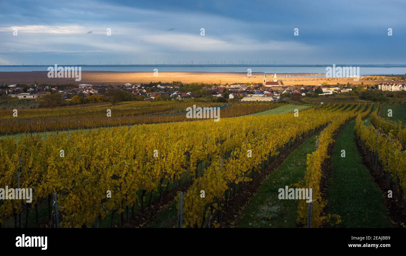 View on vilage of rust in Burgenland with lake neusiedlersee Stock Photo