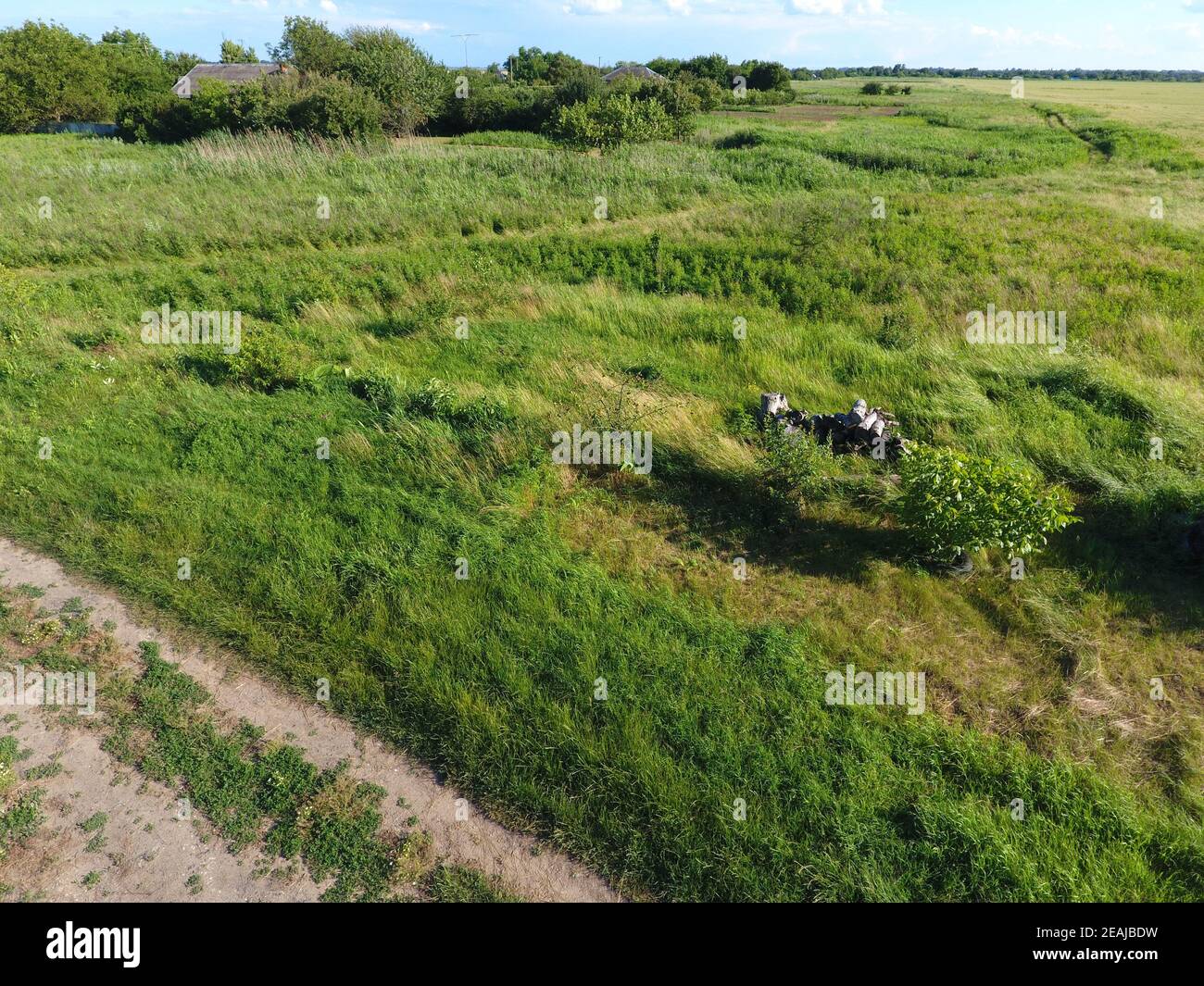 The site is overgrown with grass. Weed vegetation on non-plowed soil. Stock Photo