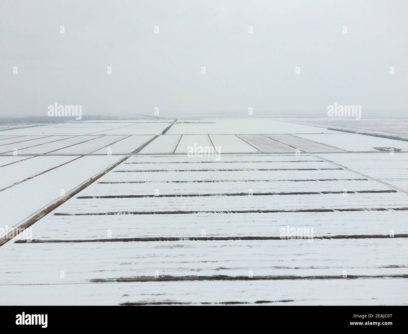 Top view of a plowed field in winter. A field of wheat in the snow Stock Photo