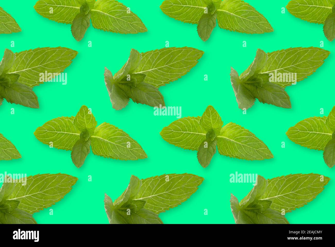 Pattern of fresh vegetables isolated on creative colored texture Stock Photo