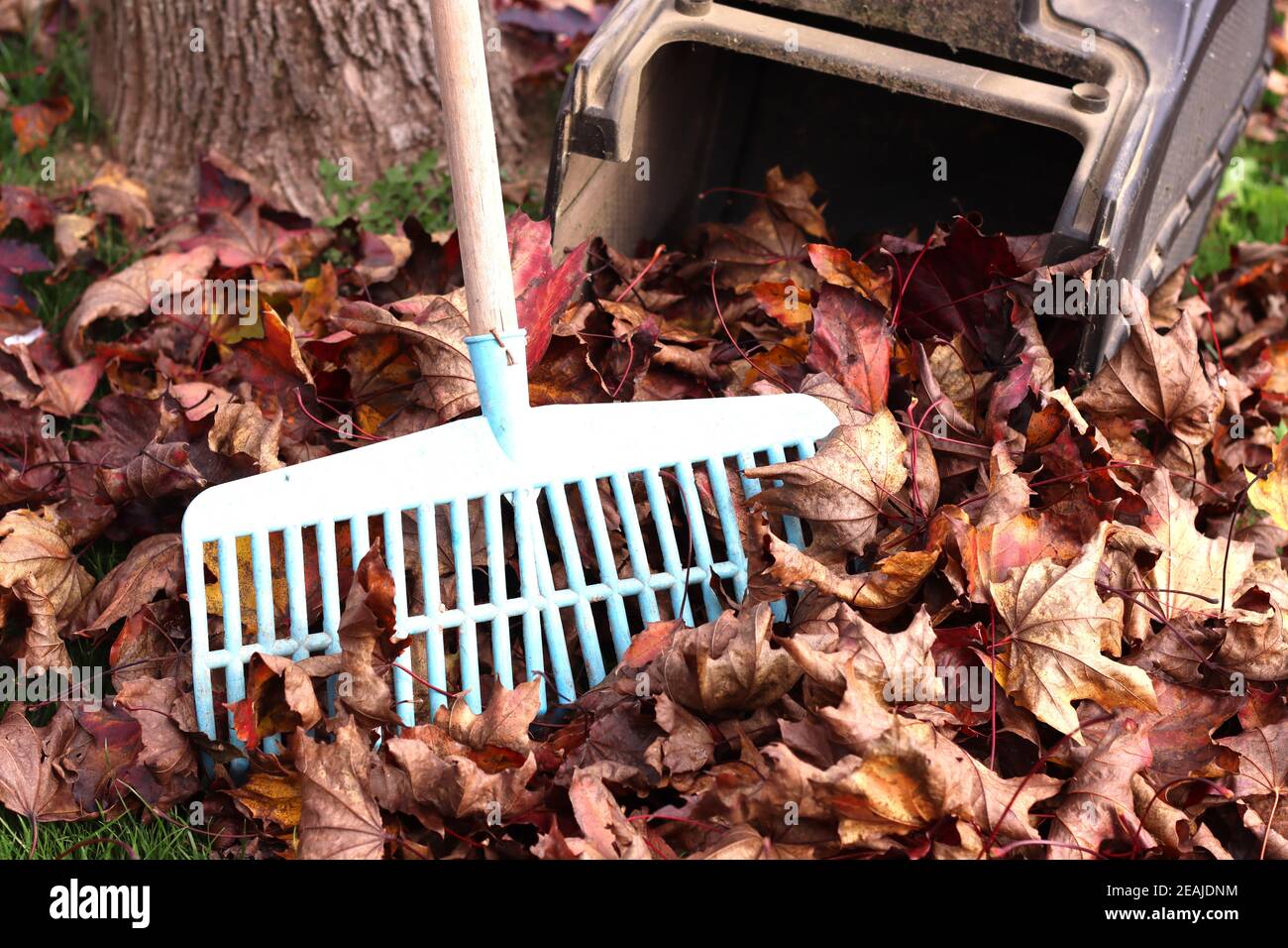 garden tools for collecting leaves Stock Photo