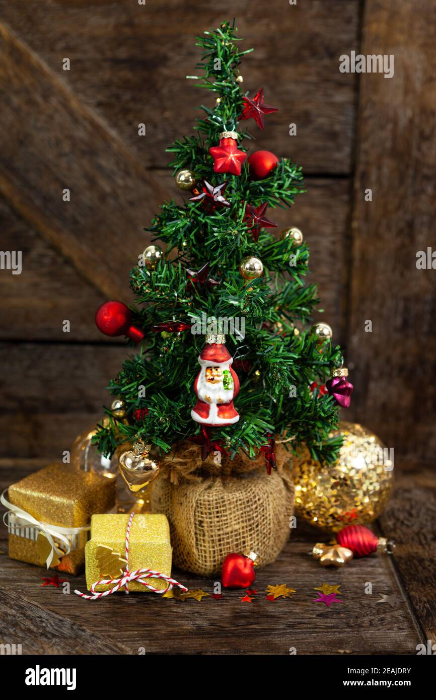 Little Christmas tree Stock Photo