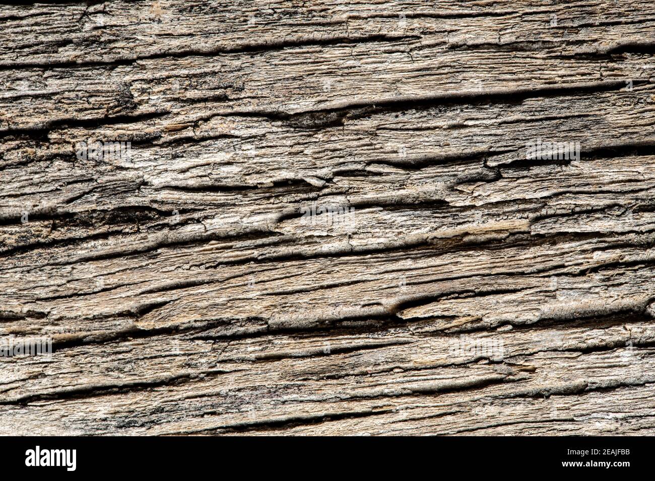 Hard timber hi-res stock photography and images - Alamy