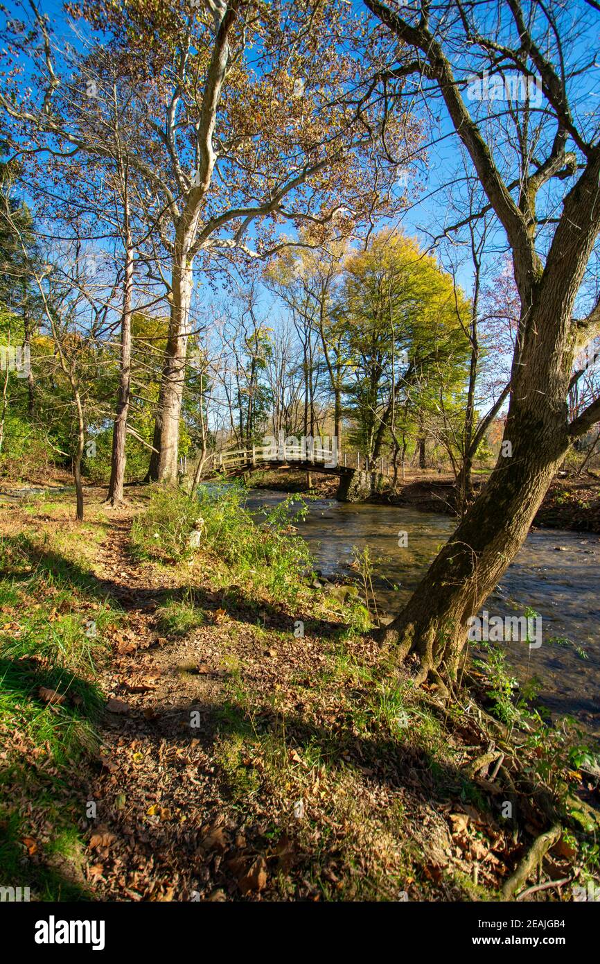 A Wooden Bridge Going Over a Small Stream on a Clear Autumn Day Stock Photo