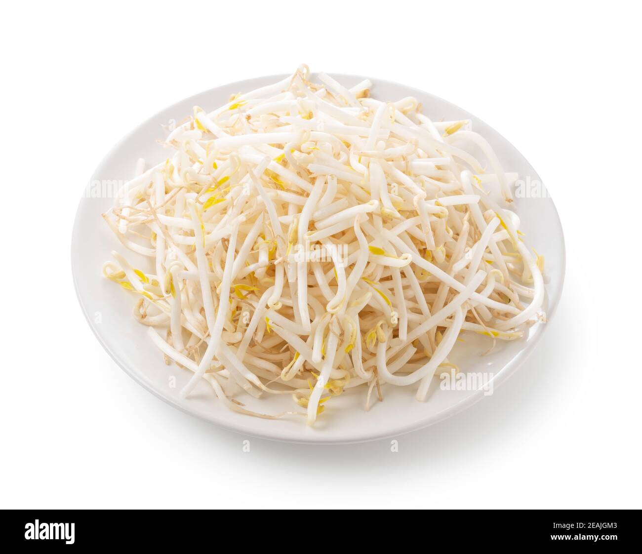 Sprouts in a plate on a white background Stock Photo