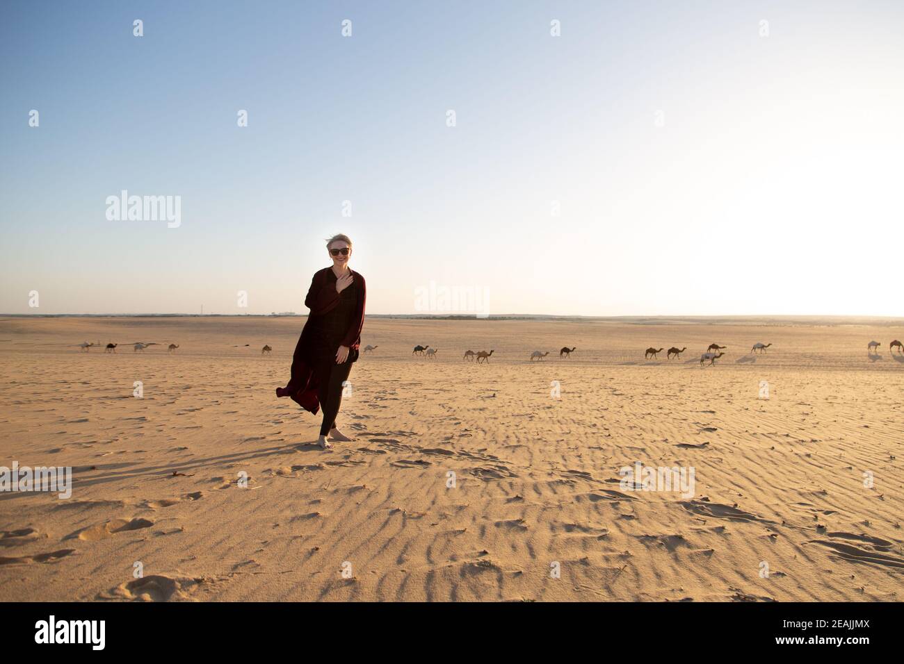 Young caucasian woman with dark red abaya in the Salisil desert in Saudi Arabia with camels in background Stock Photo