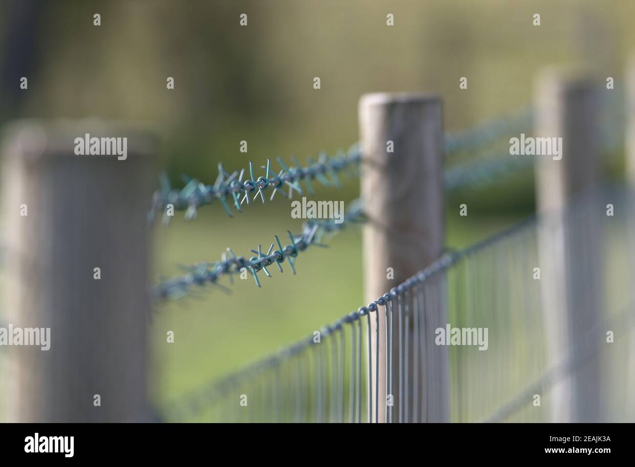 New sharp barbed wire fence with smooth blurred background. Copy space Stock Photo
