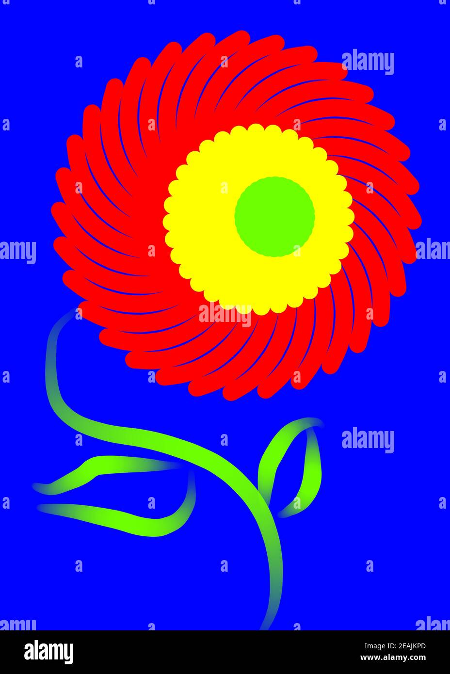 multicolored flower on a blue background Stock Photo