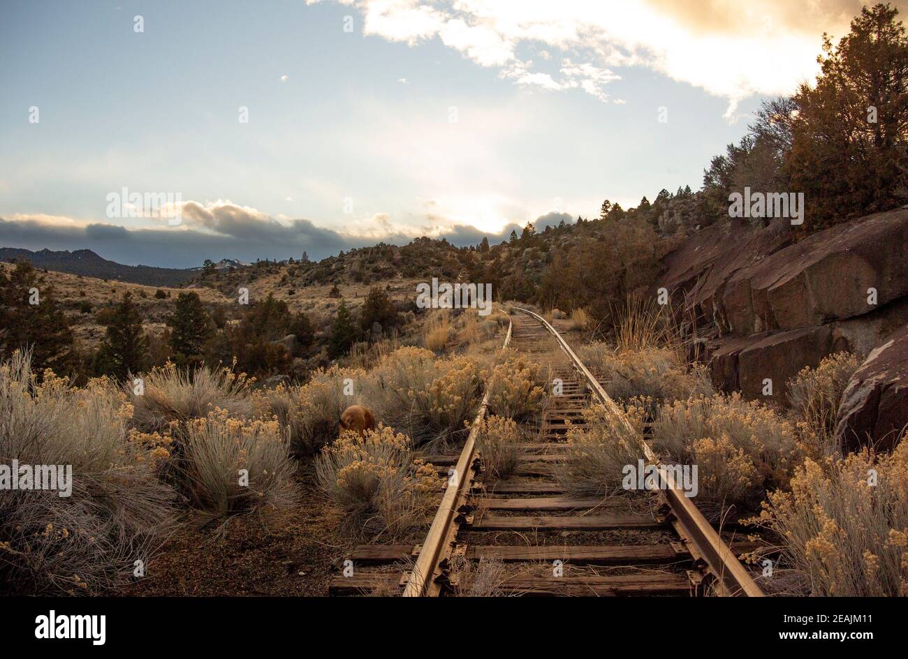 The old, abandoned Milwaukee Road railroad tracks, up on Spire Rock
