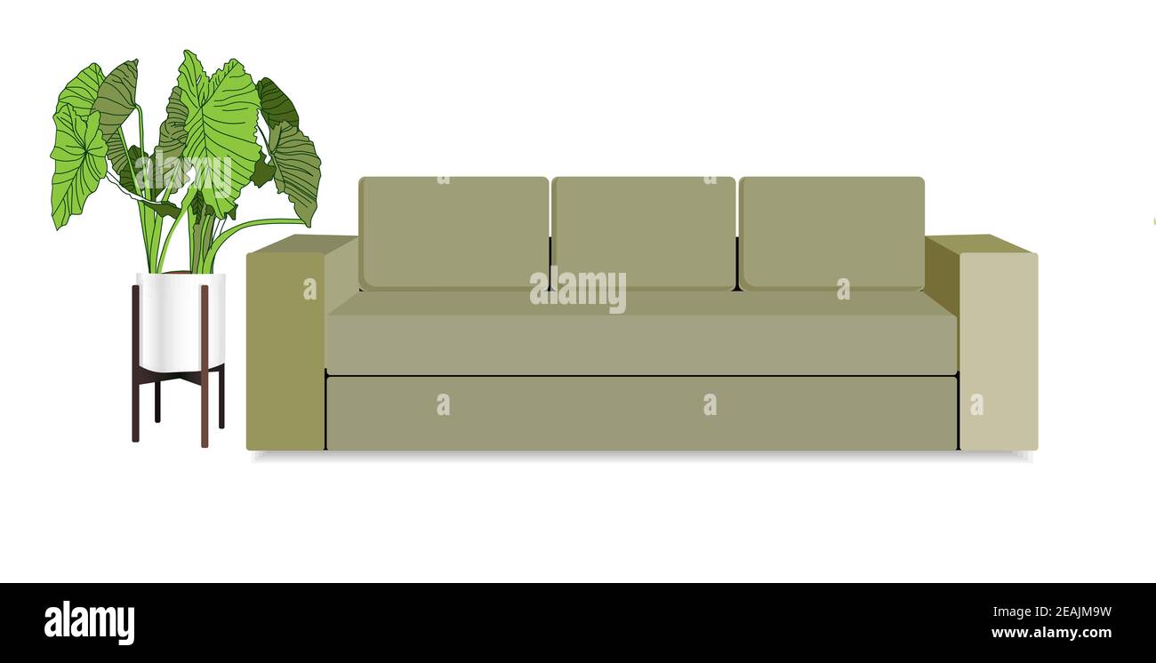 Interior scene. Sofa next to a large floor plant in flowerpots.Vector illustration for flower shops, banners, posters, advertising Stock Photo