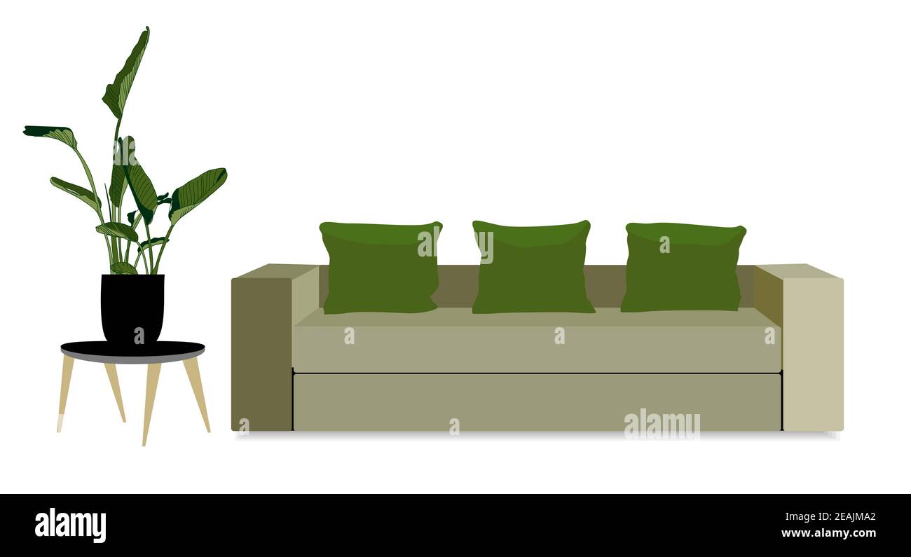 Living room interior in modern style with sofa. Interior with various houseplants, stands. Vector illustration for flower shops, banners, posters, advertisements Stock Photo