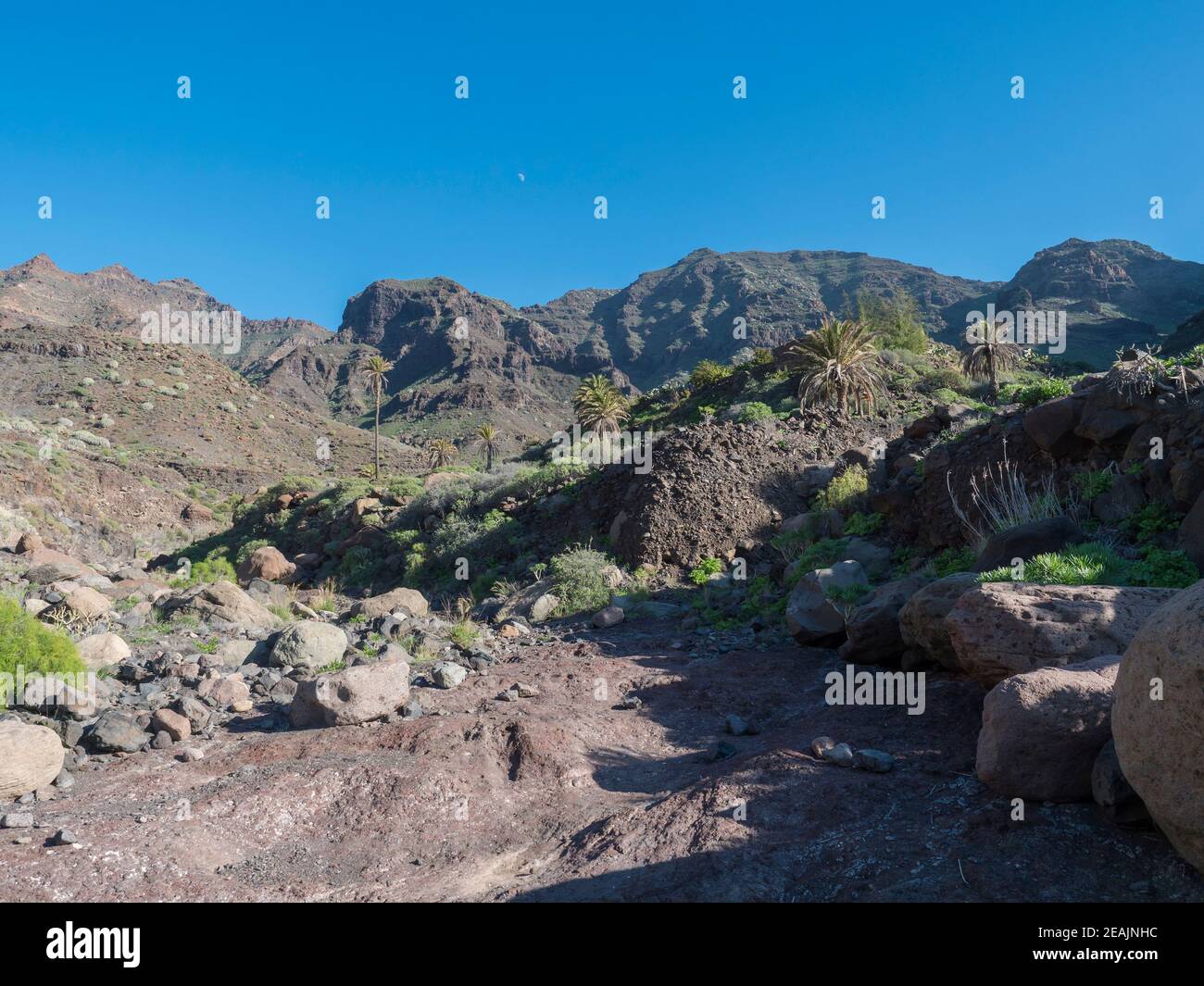 View of arid subtropical landscape of Barranco de Guigui Grande ravine ...