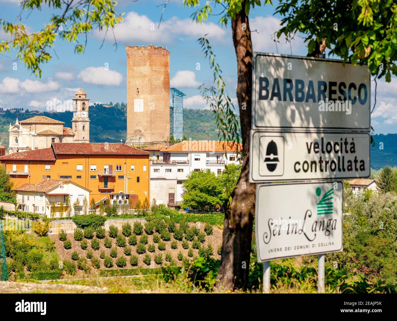 Barbaresco village and vineyards, Unesco Site, Piedmont, Northern Italy Stock Photo