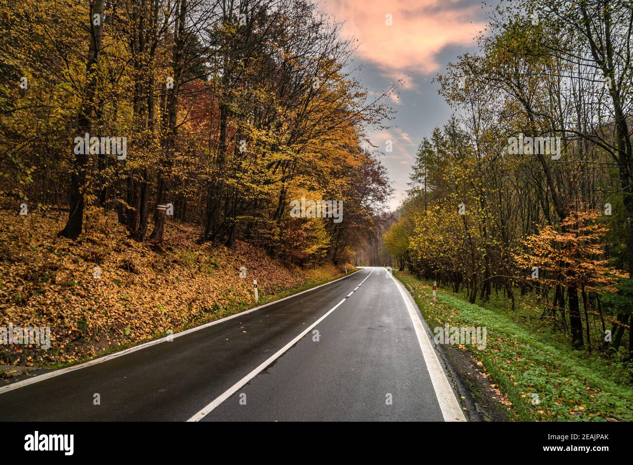 road for cars in the autumn forest Stock Photo