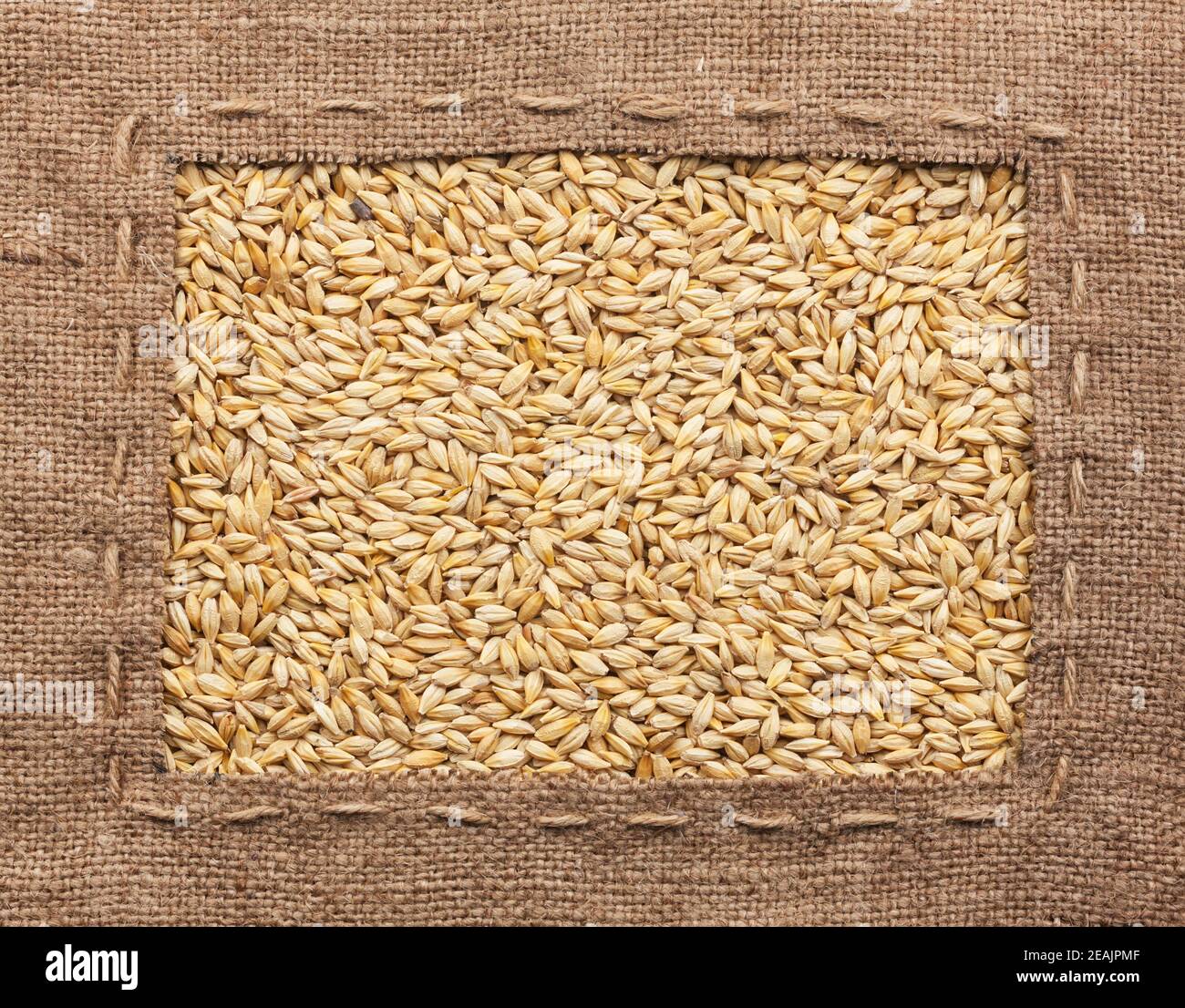 Frame made of burlap with barley Stock Photo