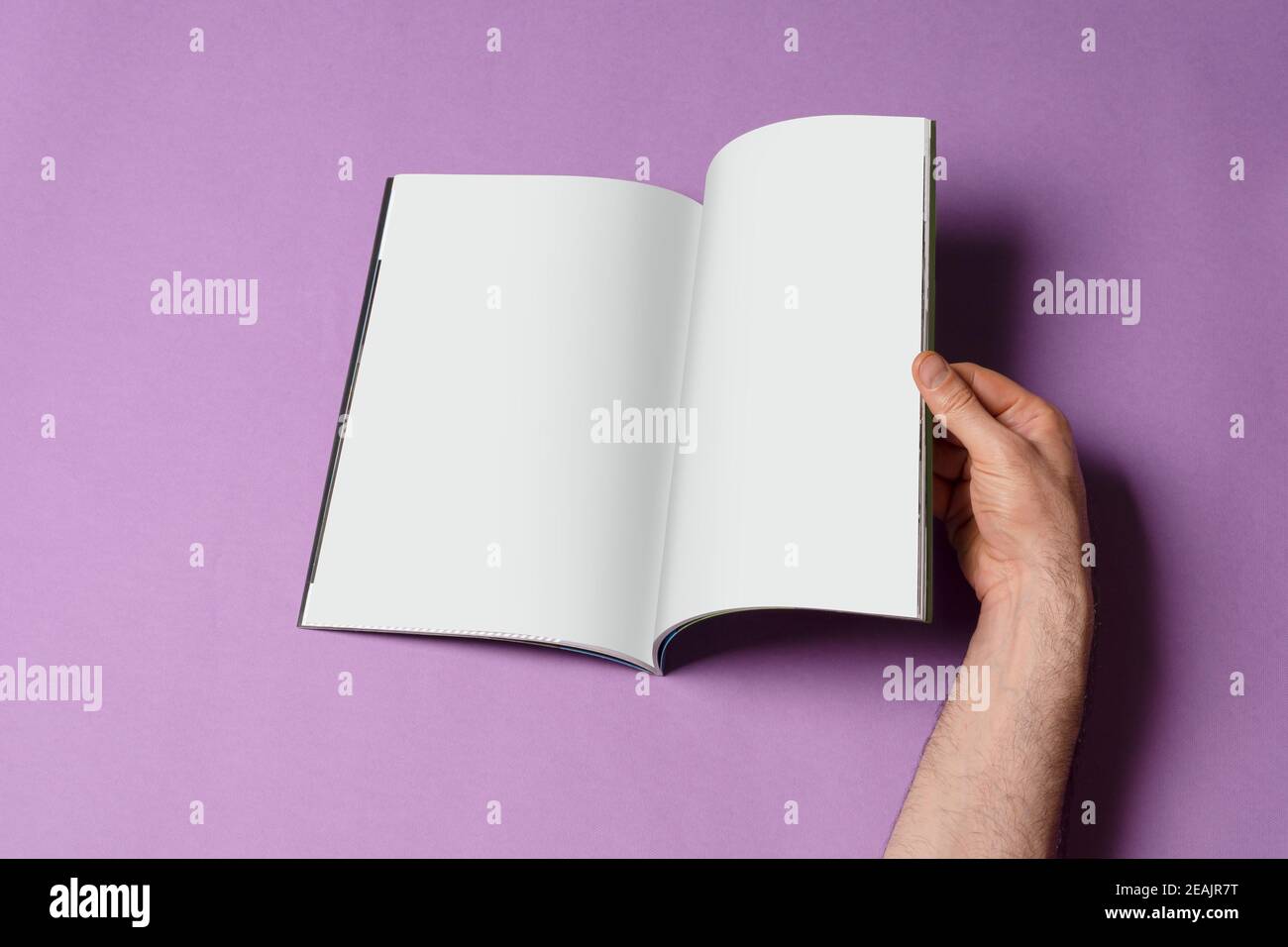 Male hand opened a book-catalog on purple background mock-up series 260 Stock Photo