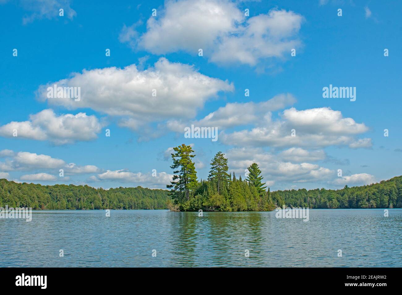 High Skies and Puffy Clouds in the North Woods Stock Photo