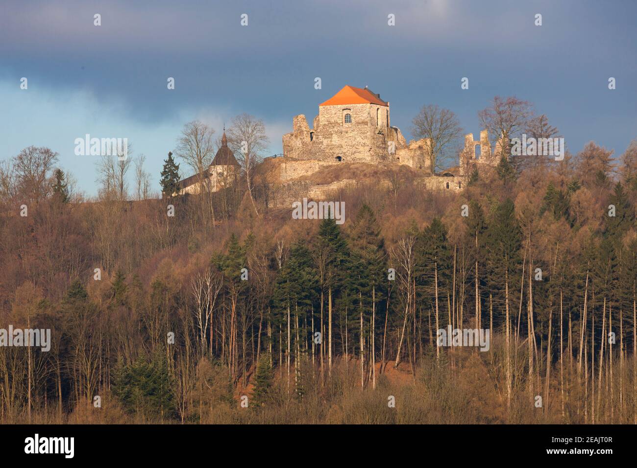 Potstejn ruins in Eastern Bohemia, Czech Republic Stock Photo