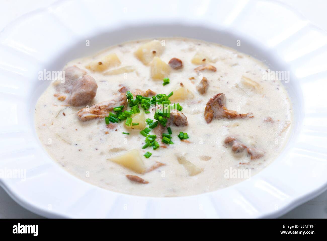 creamy potato soup with mushrooms Stock Photo