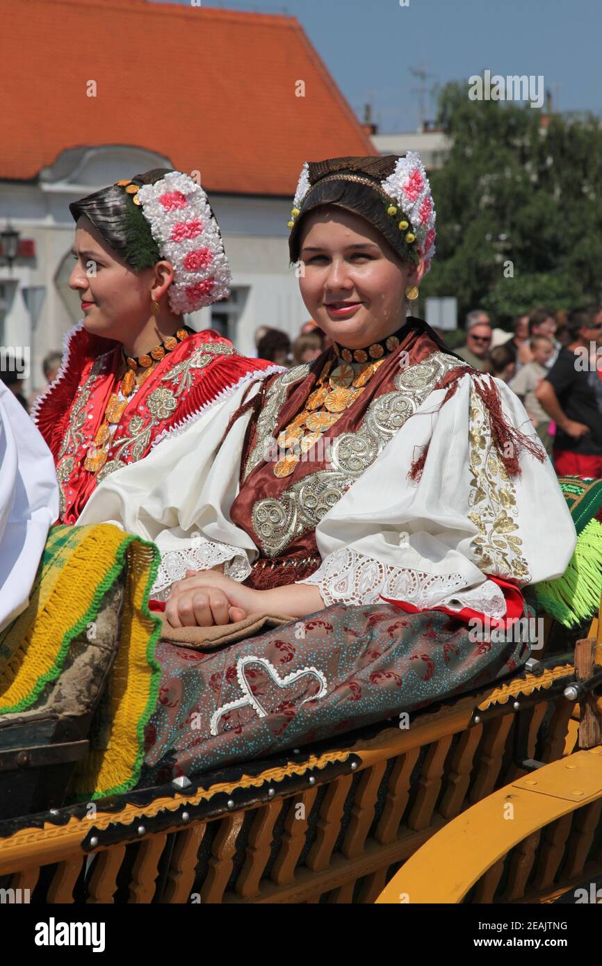 Horse and wedding wagon show during Dakovo vezovi (Dakovo Summer Festival) in Dakovo, Croatia. Stock Photo
