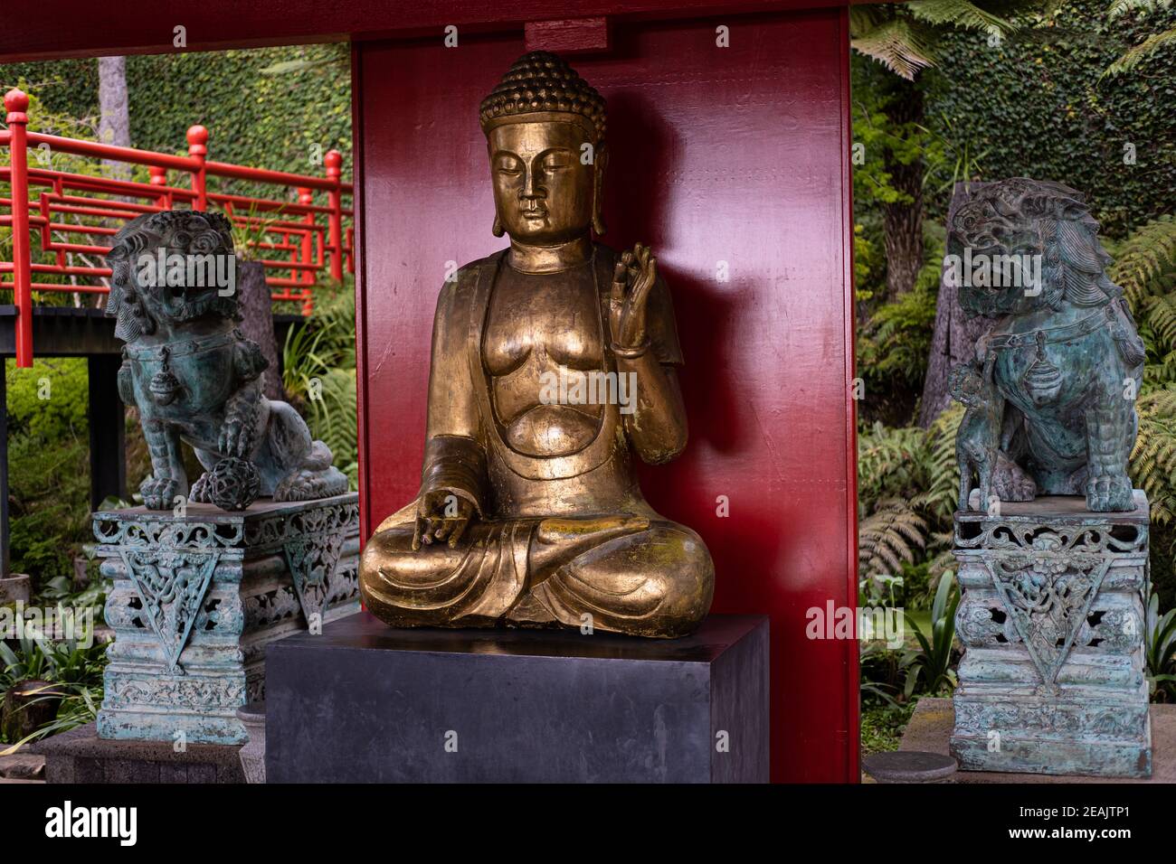 Buddha statue in the tropical Chinese garden, Golden Buda statue in