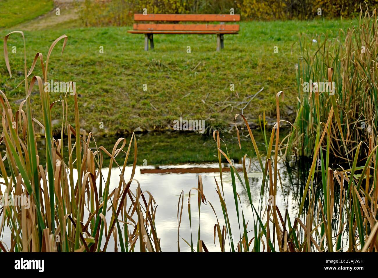 park bench at a pond in autumn Stock Photo